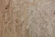 100215_1_A060102OSB3Oberflche.jpg