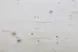209693_1_A0102013SchichtplatteFichteOberflche.jpg